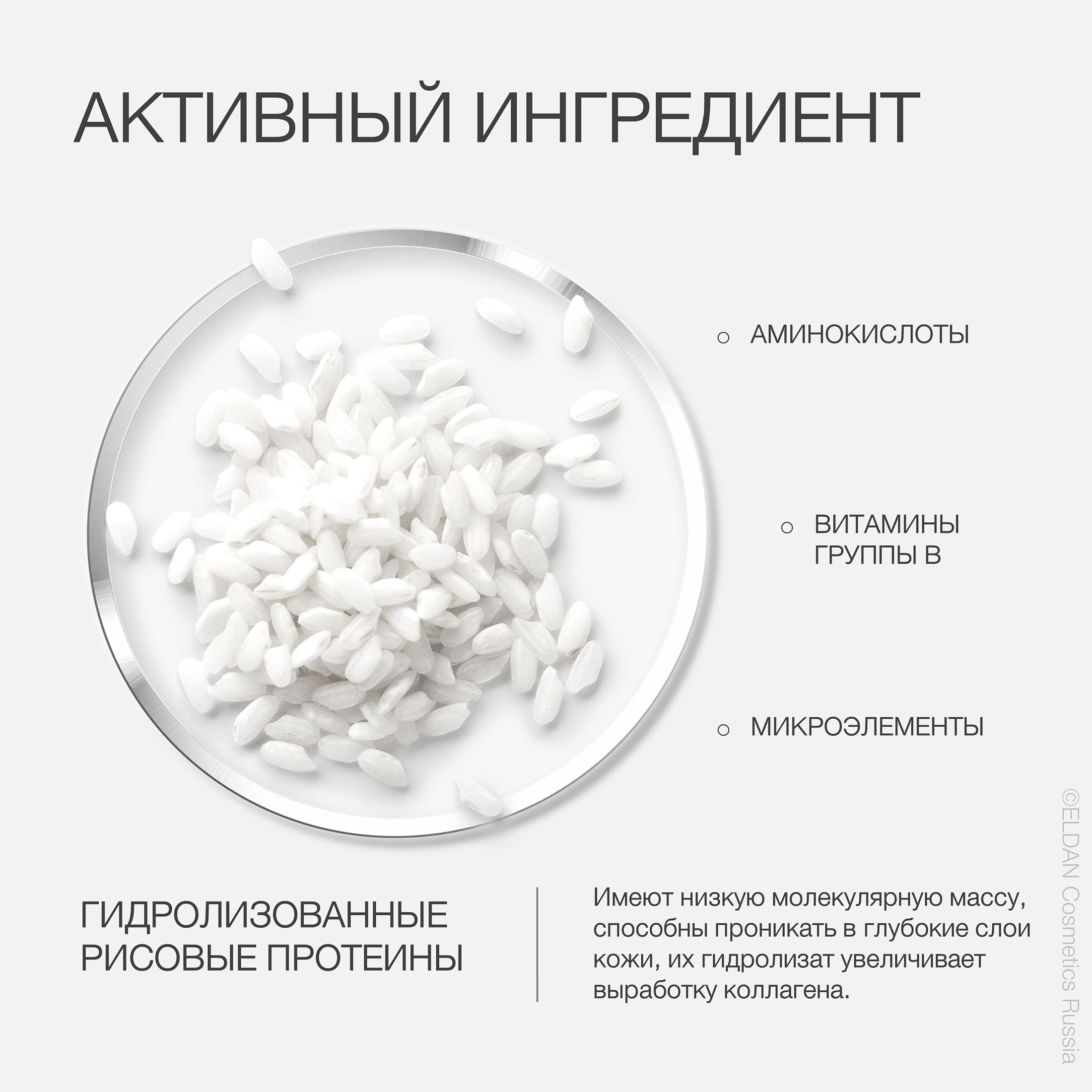 Пост рис протеины 3.jpg Пост рис протеины 3.jpg